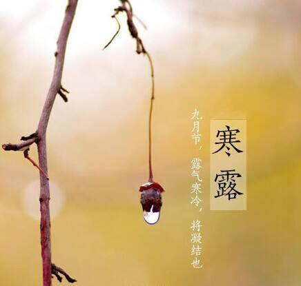 寒露至，秋意濃